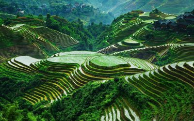 Cordillera Peoples Alliance