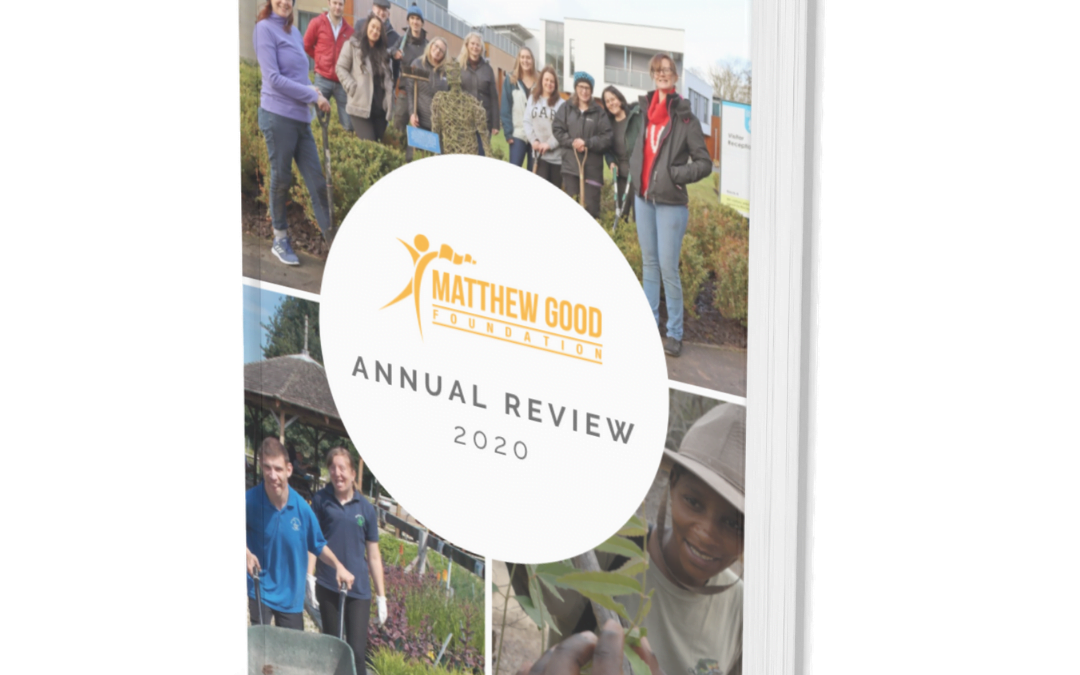 A look back on our impact in 2020