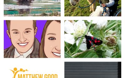 Matthew Good Foundation reveals second round of Grants for Good Finalists
