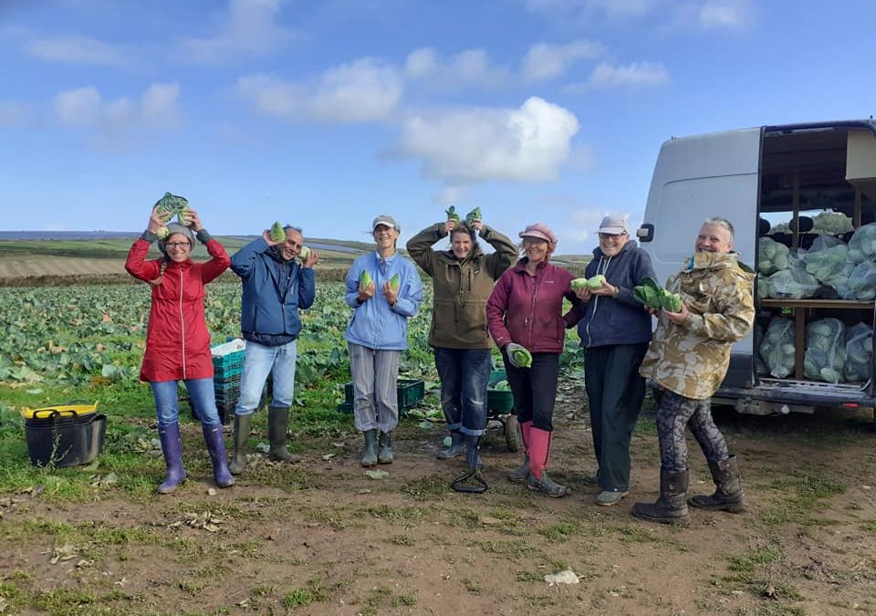 Gleaning Cornwall Network Secures £2,500 Grant from the Matthew Good Foundation