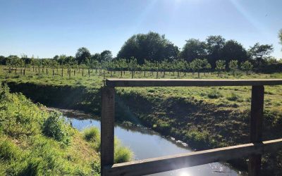 Friends of Garrowby Orchard