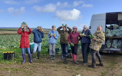 Gleaning Cornwall Network