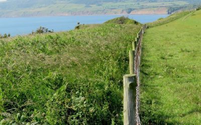 Yorkshire Rewilding Network