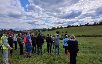 Hedgerow Heroes