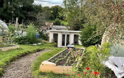 The Food Forest Project