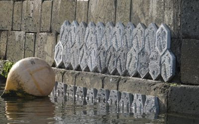 Matthew Good Foundation and Sea-Changers help to fund Cornwall’s first “living wall” habitat in Falmouth Harbour