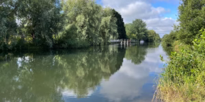 A picture of the River Thames from Friends of the Thames