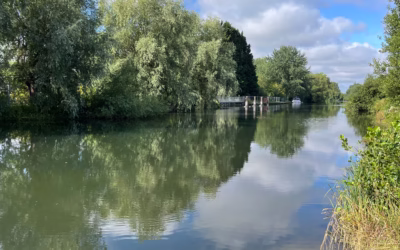 Friends of the Thames