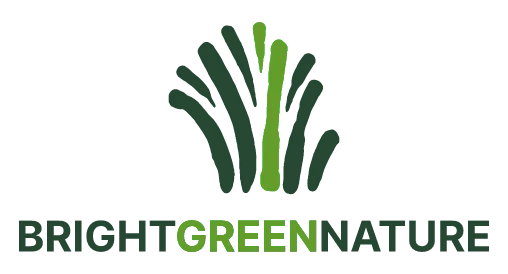 rewilding project Scotland - bright green nature logo