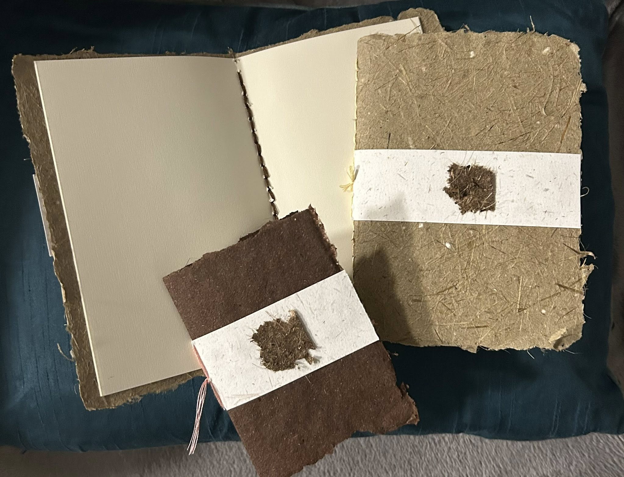 Wild Plant Paper CIC Wild Plant Paper CIC supplies handmade paper in Wales