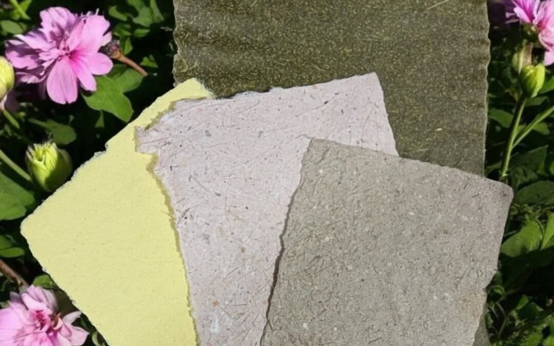 Wild Plant Paper CIC supplies handmade paper in Wales