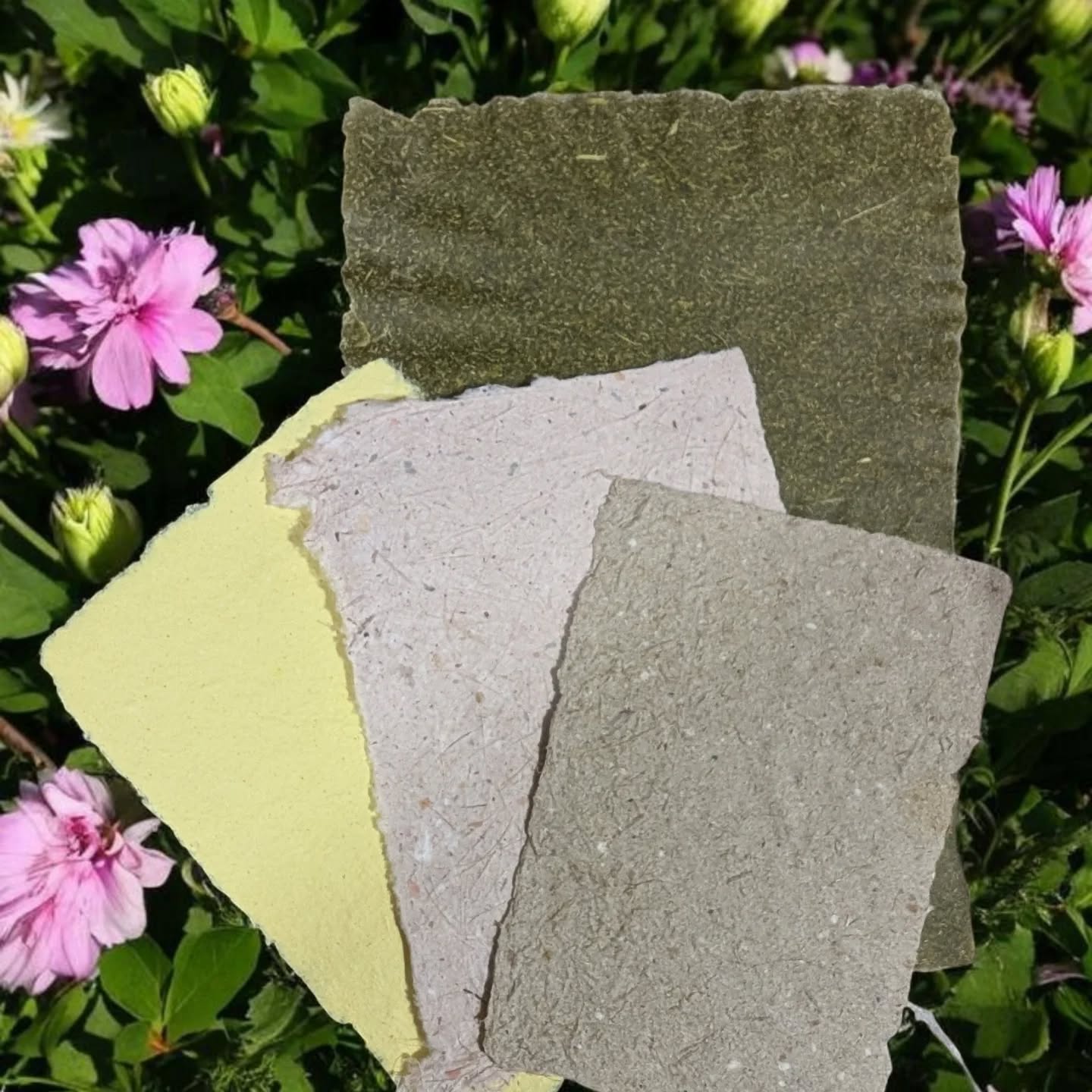 Wild Plant Paper CIC supplies handmade paper in Wales