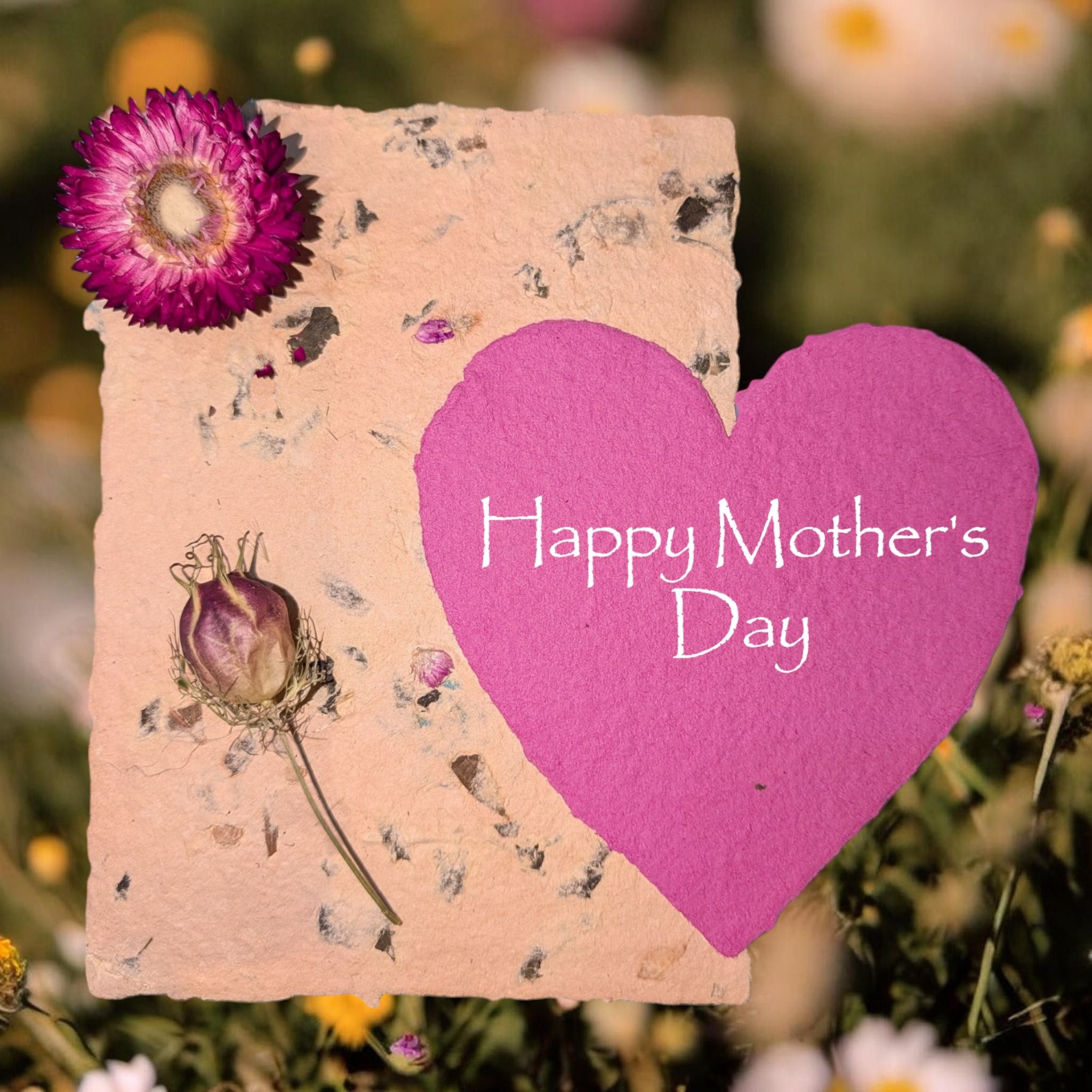 Wild Plant Paper CIC Wild Plant Paper CIC supplies handmade paper in Wales