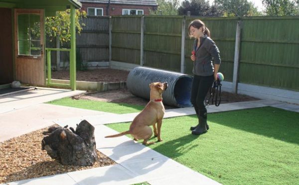 For-our-Dogs-04-600×371 dog training at Ashbourne animal welfare