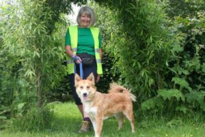 walking a dog at Ashbourne animal rescue centre in Derbyshire