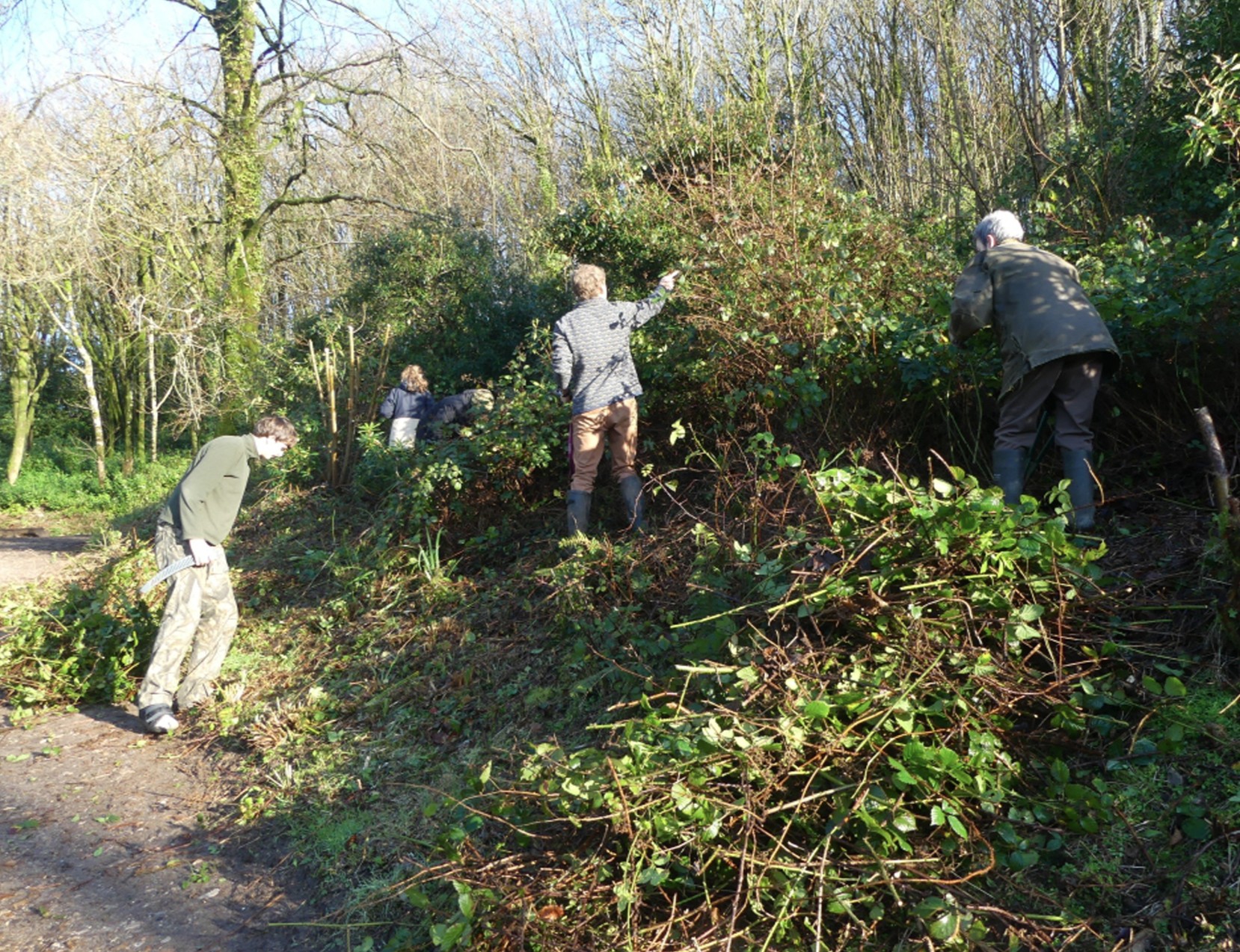 Screenshot 2026-06-24 114915 Volunteers on an activity day at Otterhead nature reserve, Somerset