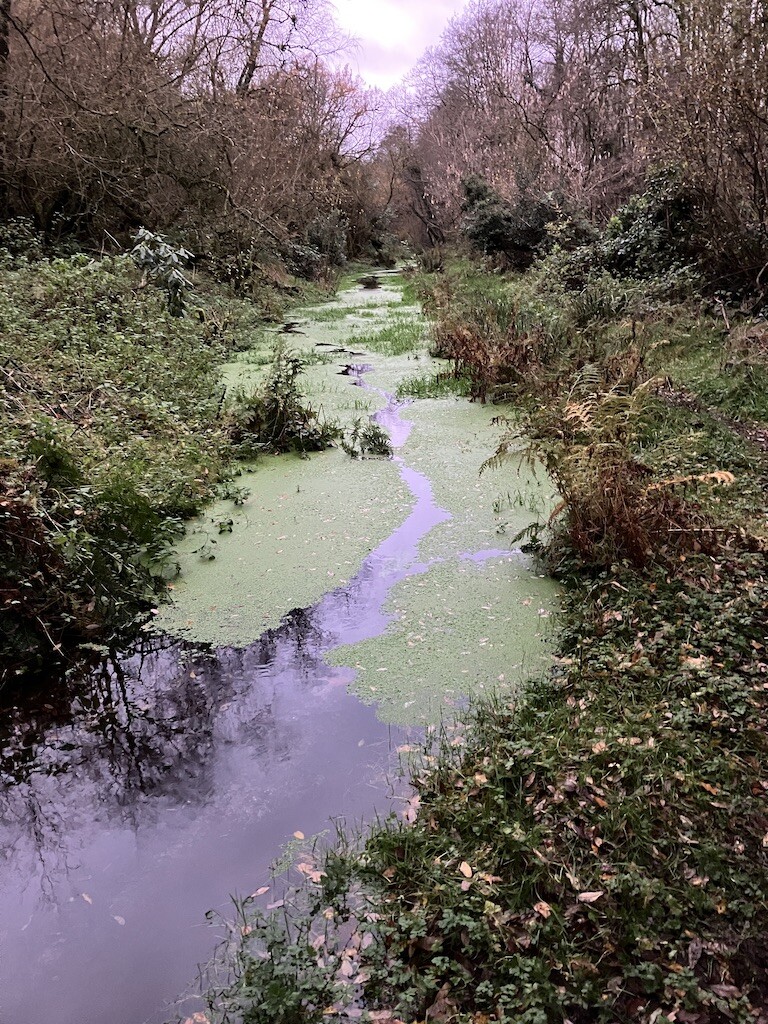 Restored medieval leat Restored medieval leat supplying clean energy at Otterhead nature reserve, Somerset