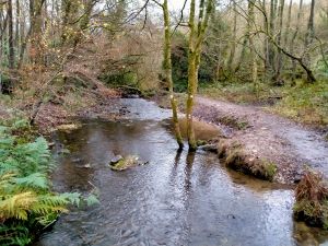 River and lake views across Otterhead nature reserve, Somerset