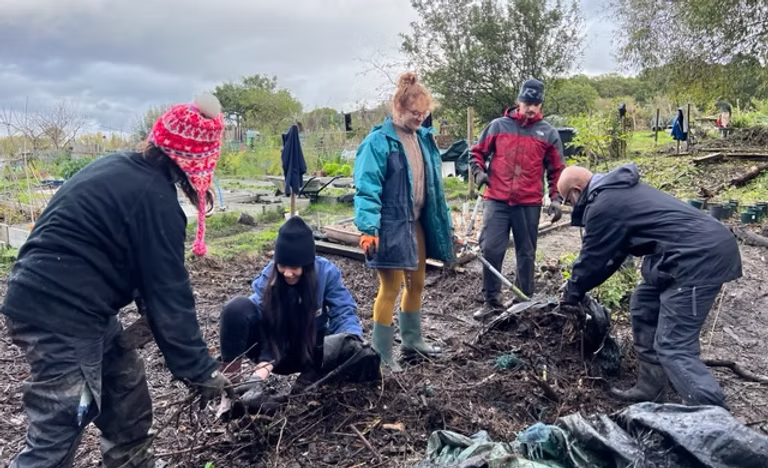 Guardians UK volunteer for rainforest restoration in Wales